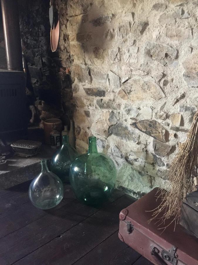 Gites De L'Etang Des Noues Cholet Kültér fotó