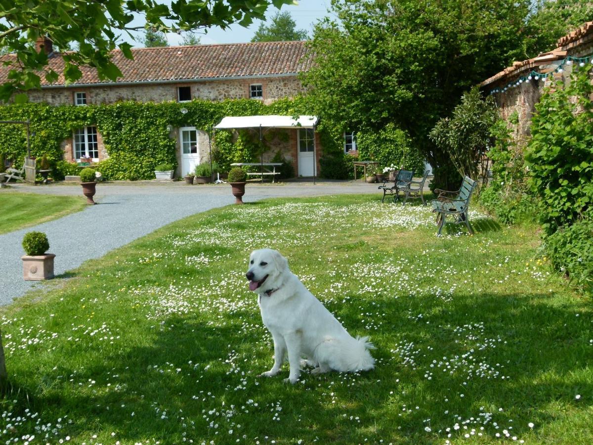 Gites De L'Etang Des Noues Cholet Kültér fotó